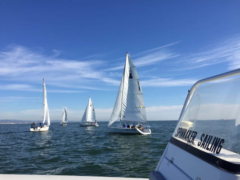 A fleet of Andrews 21s on the Bay, seen from the coach boat